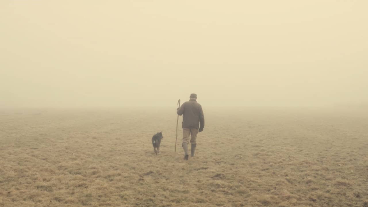 The Old Man and the Land backdrop