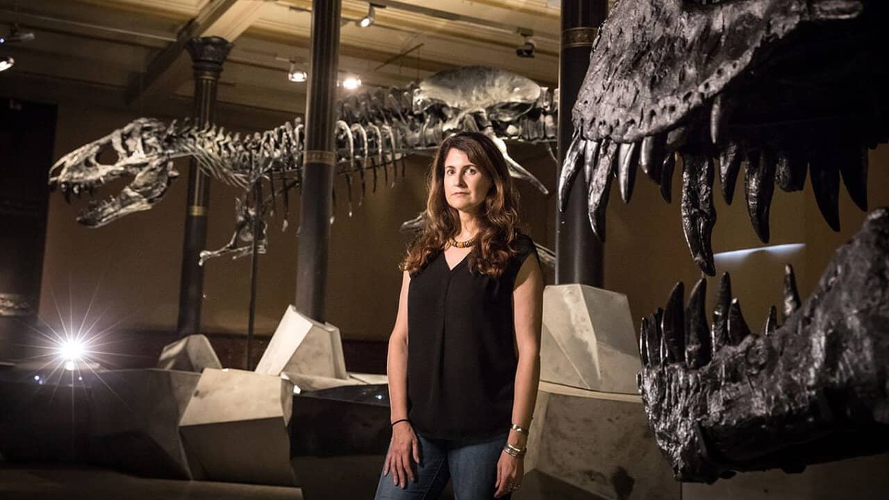 The Amazing World of Dinosaurs backdrop