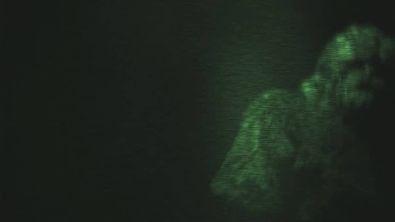 On the Trail of Bigfoot: The Journey backdrop