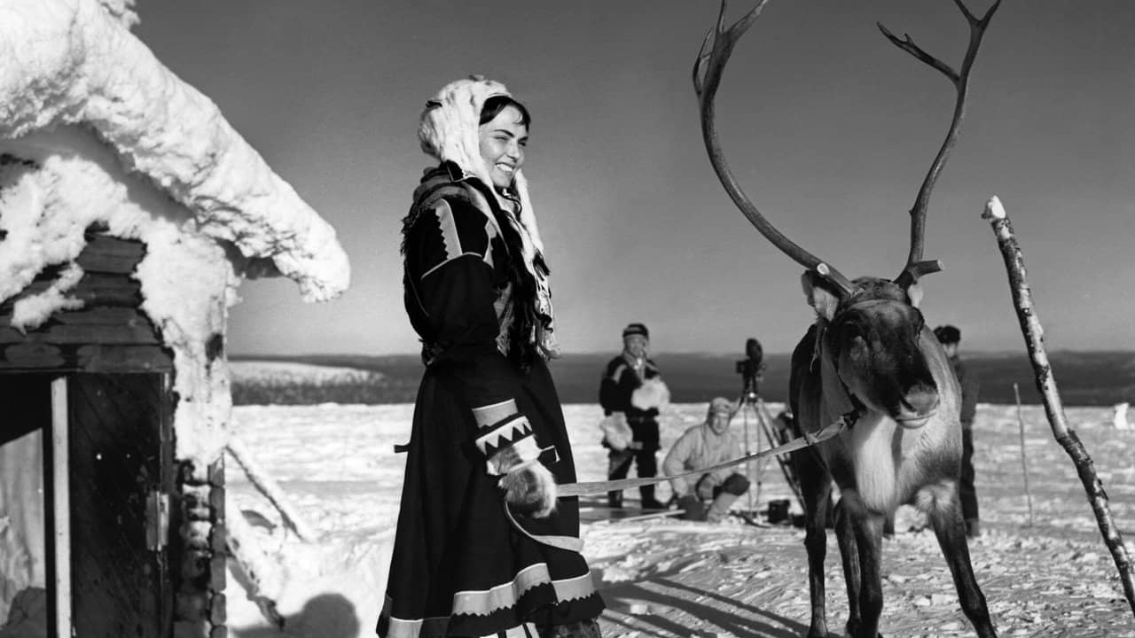 The White Reindeer backdrop