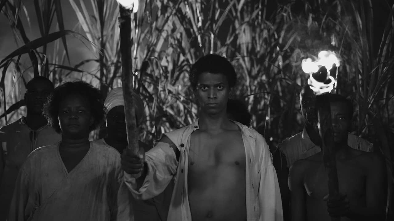 Black Zombie backdrop