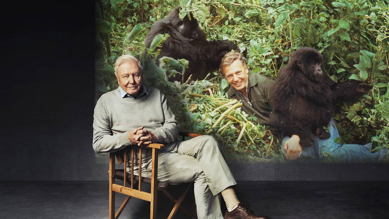 Making Life on Earth: Attenborough’s Greatest Adventure backdrop