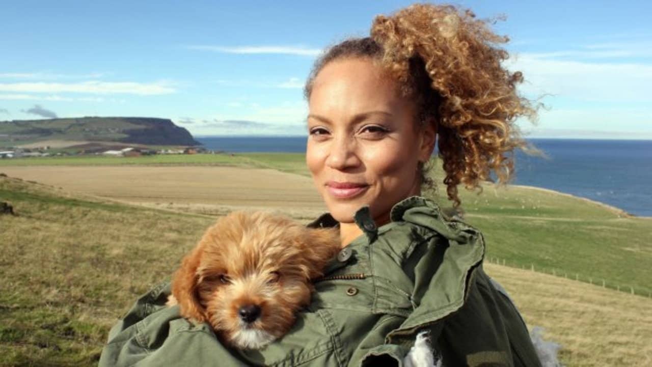 Coastal Walks with My Dog backdrop