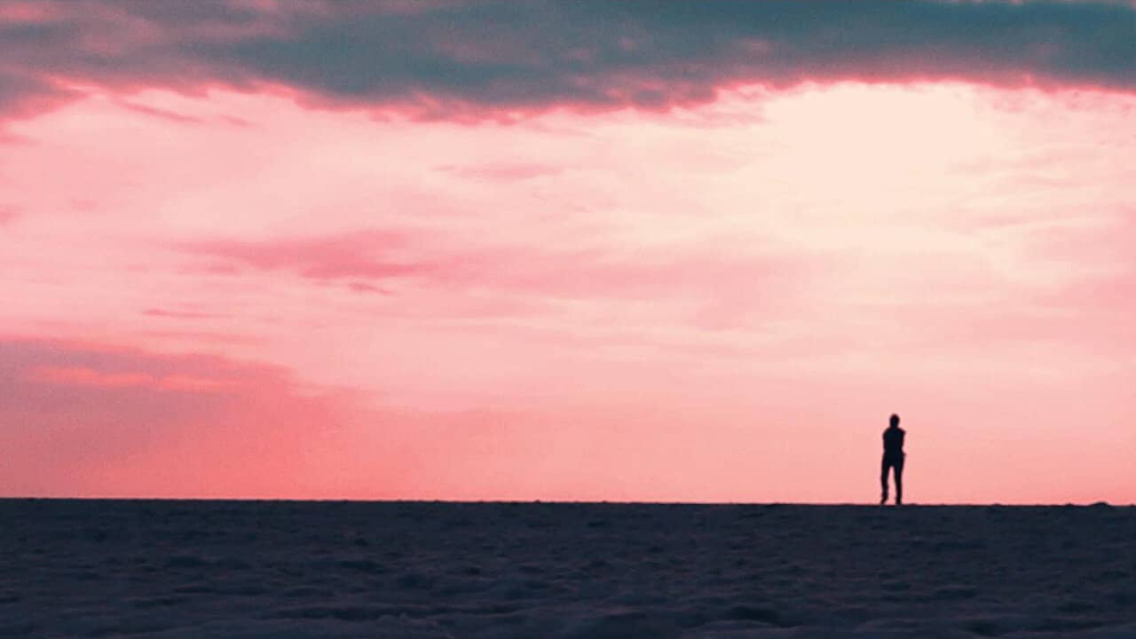 Scavenger backdrop