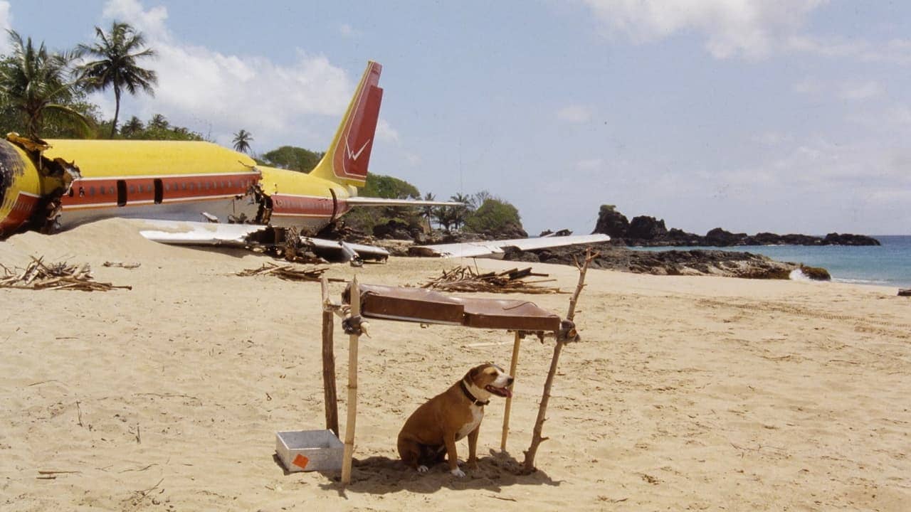The Last Island backdrop