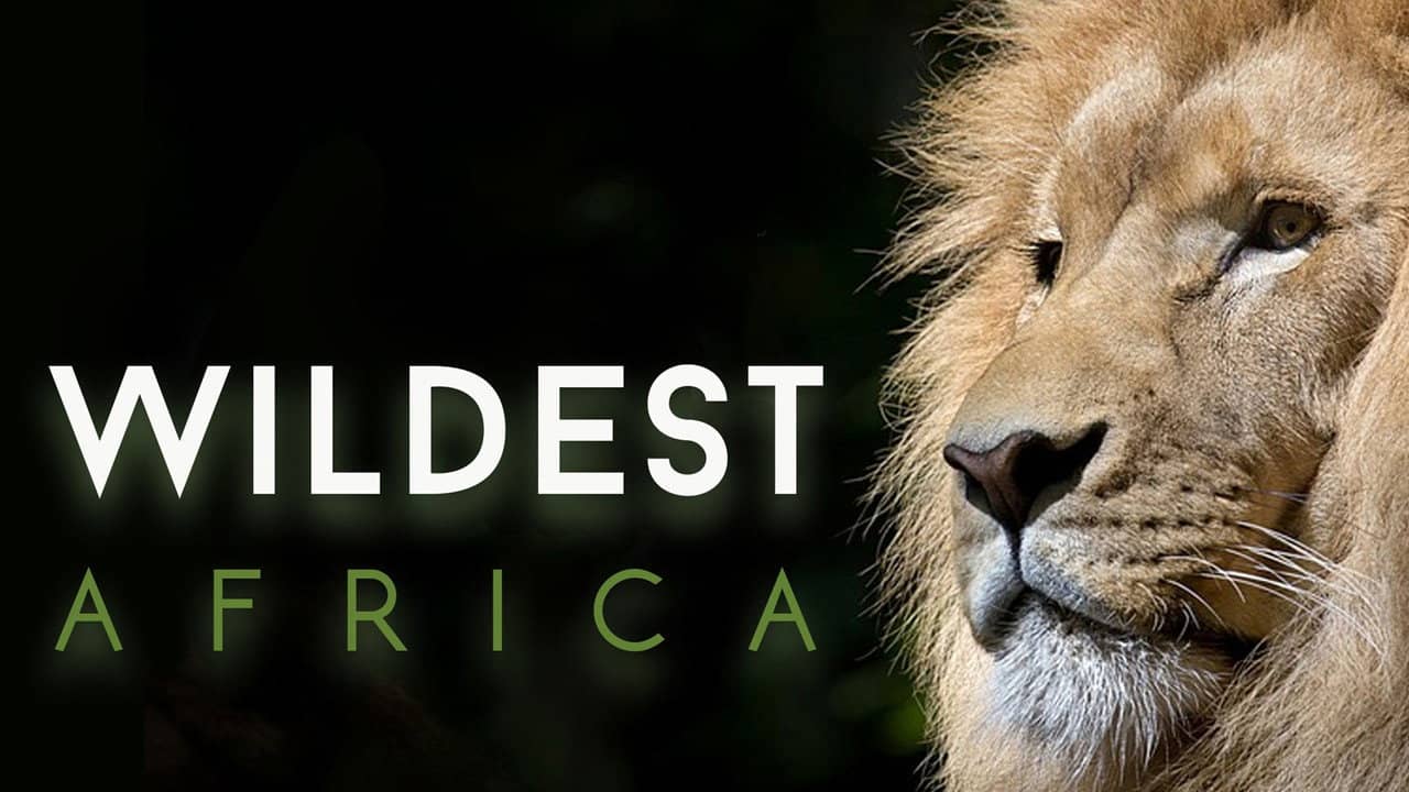 Wildest Africa backdrop