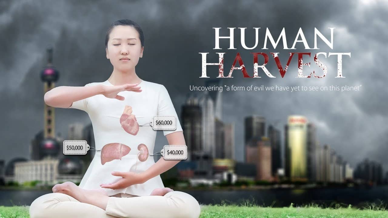 Human Harvest backdrop
