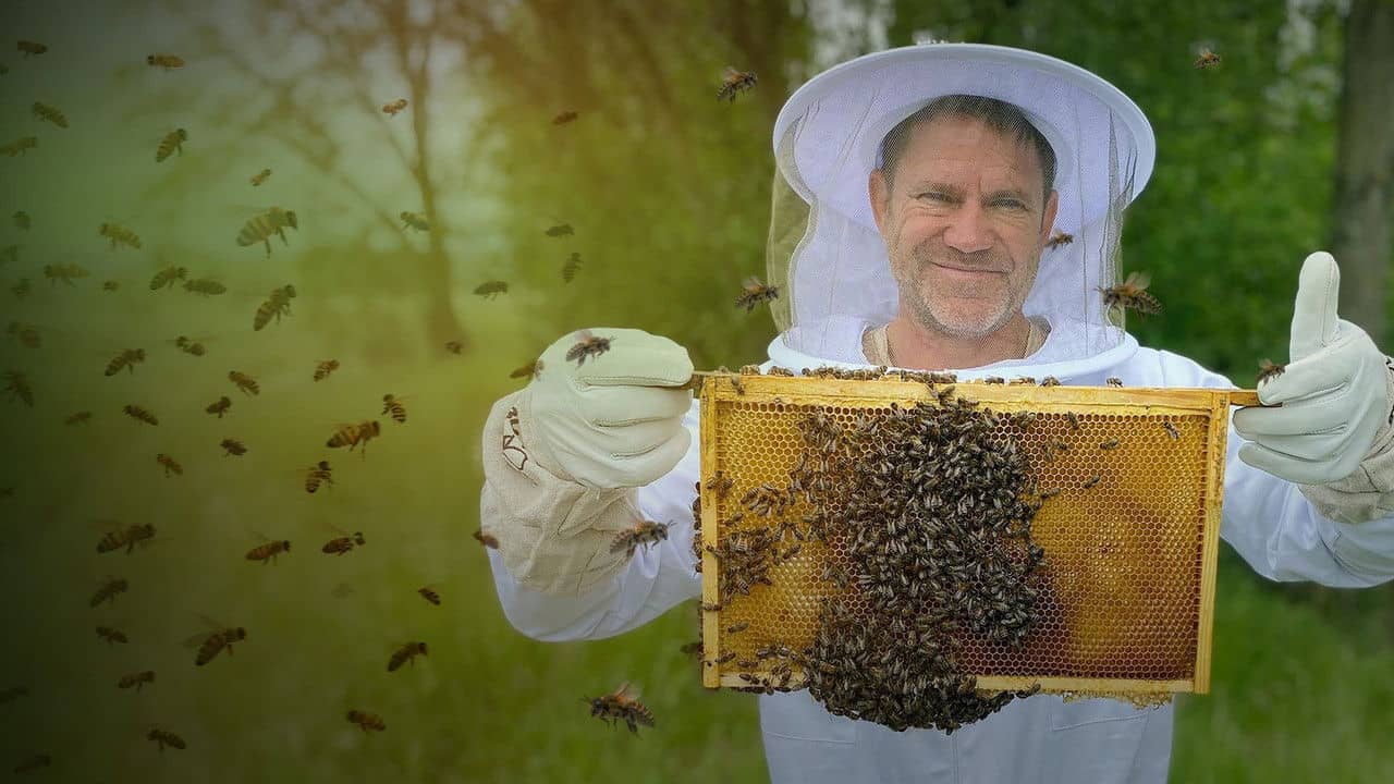 The Secret Life of Bees backdrop