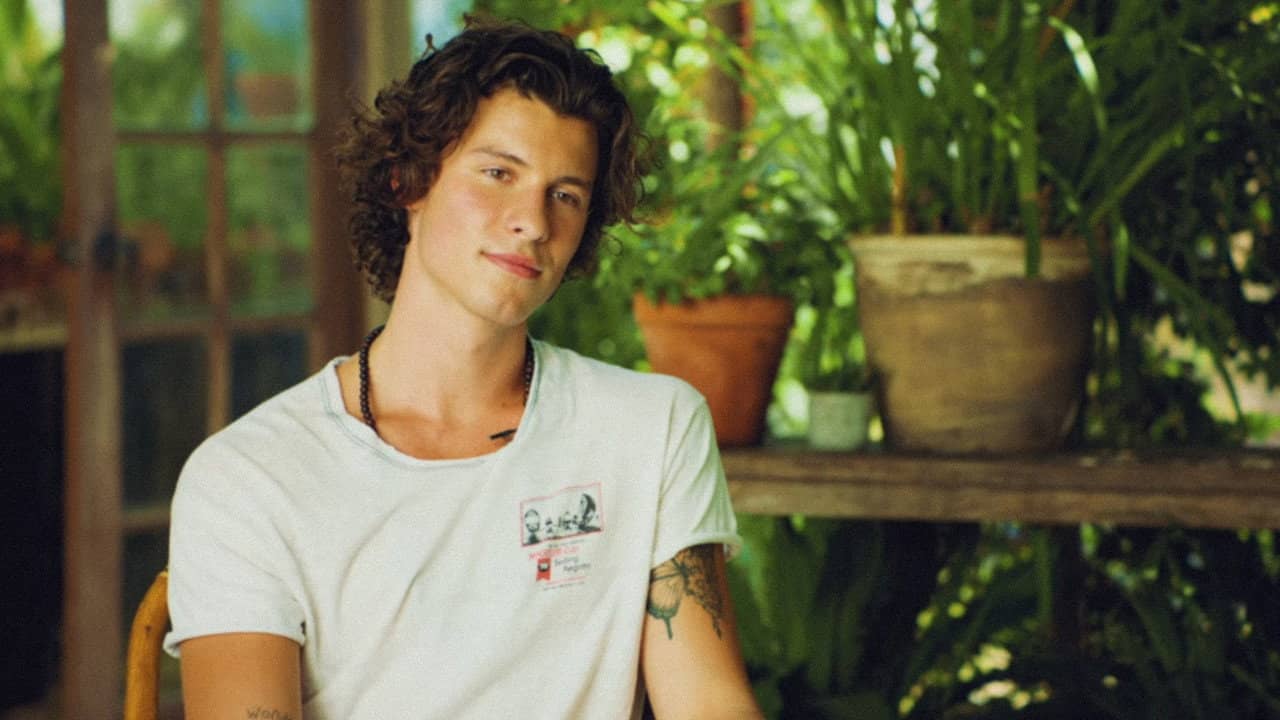 Shawn Mendes: The Wonder Interview backdrop