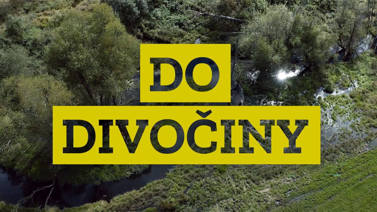 Do divočiny! backdrop