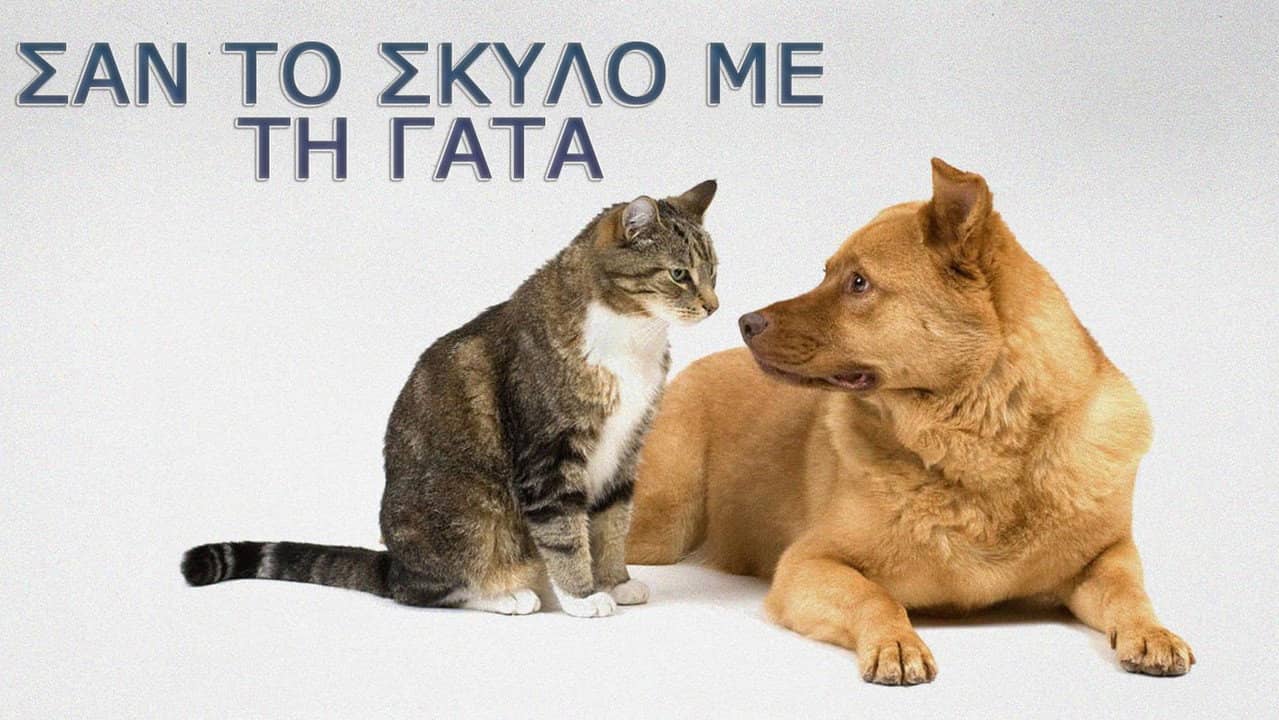 Σαν τον σκύλο με τη γάτα backdrop