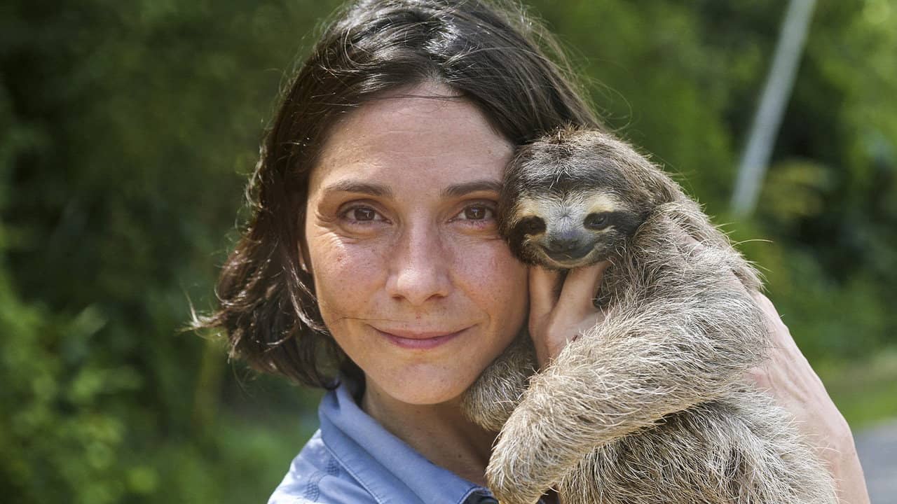 A Sloth Named Velcro backdrop