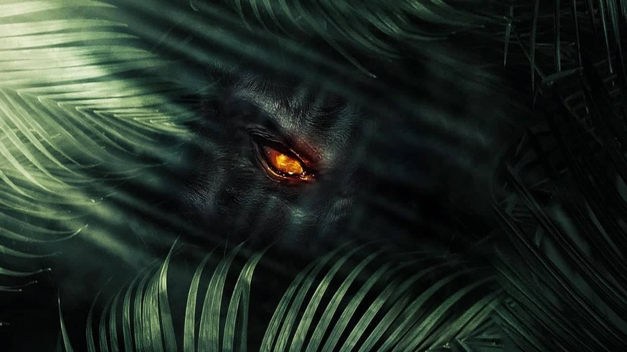 The Jungle backdrop