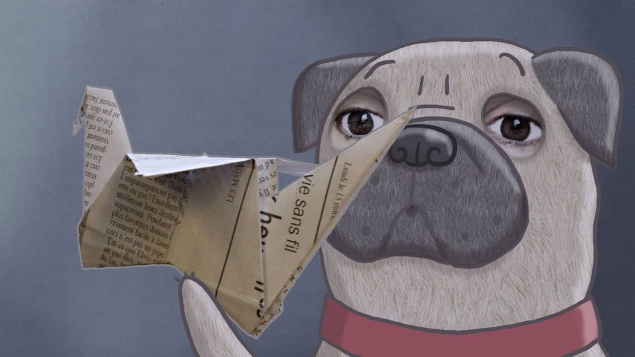 Monsieur Pug backdrop