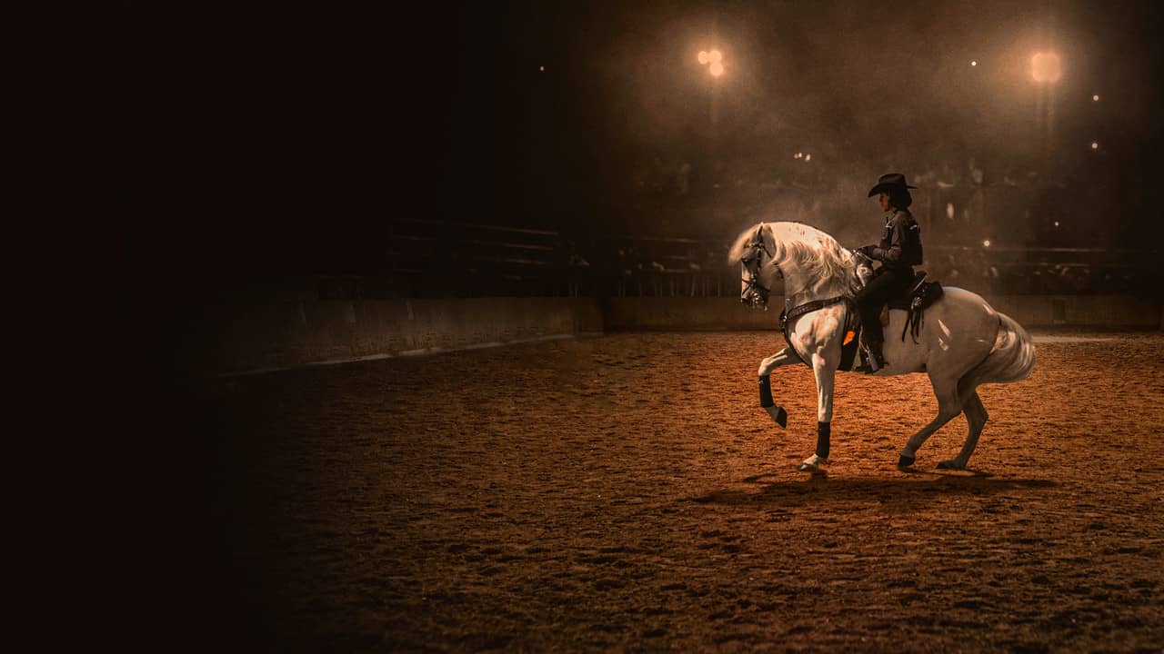 Centurion: The Dancing Stallion backdrop