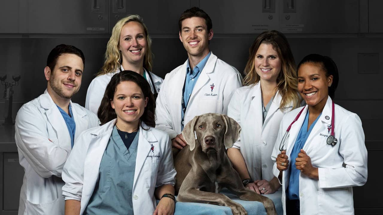 Life at Vet U backdrop