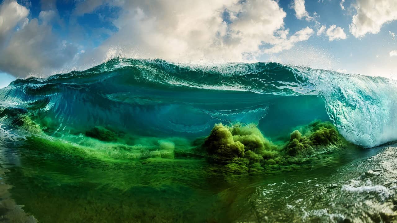 Shorebreak: The Clark Little Story backdrop