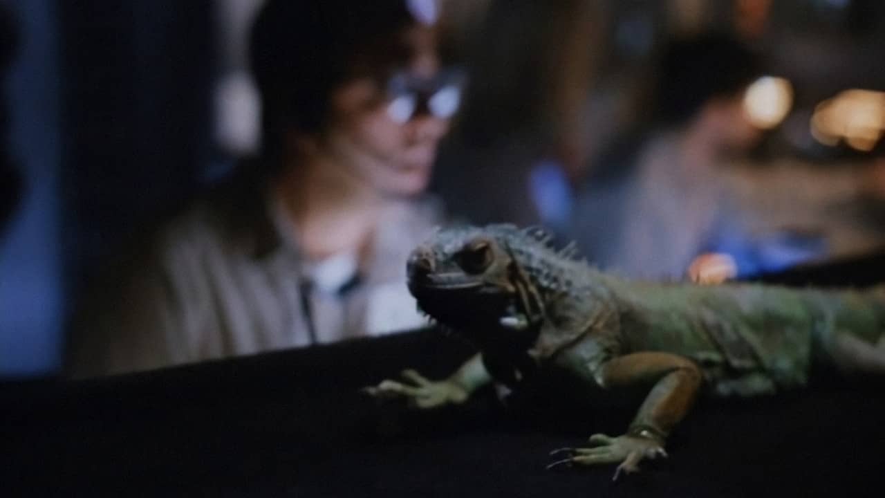 Carnosaur 2 backdrop
