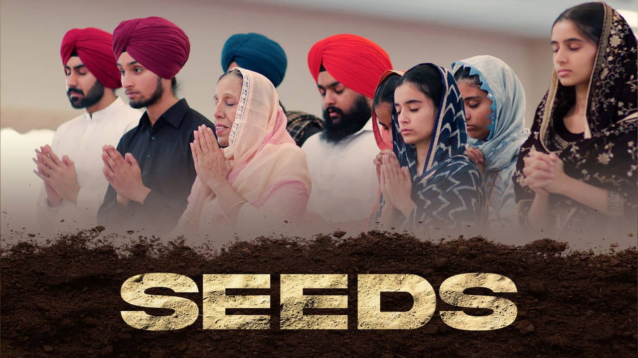 Seeds backdrop