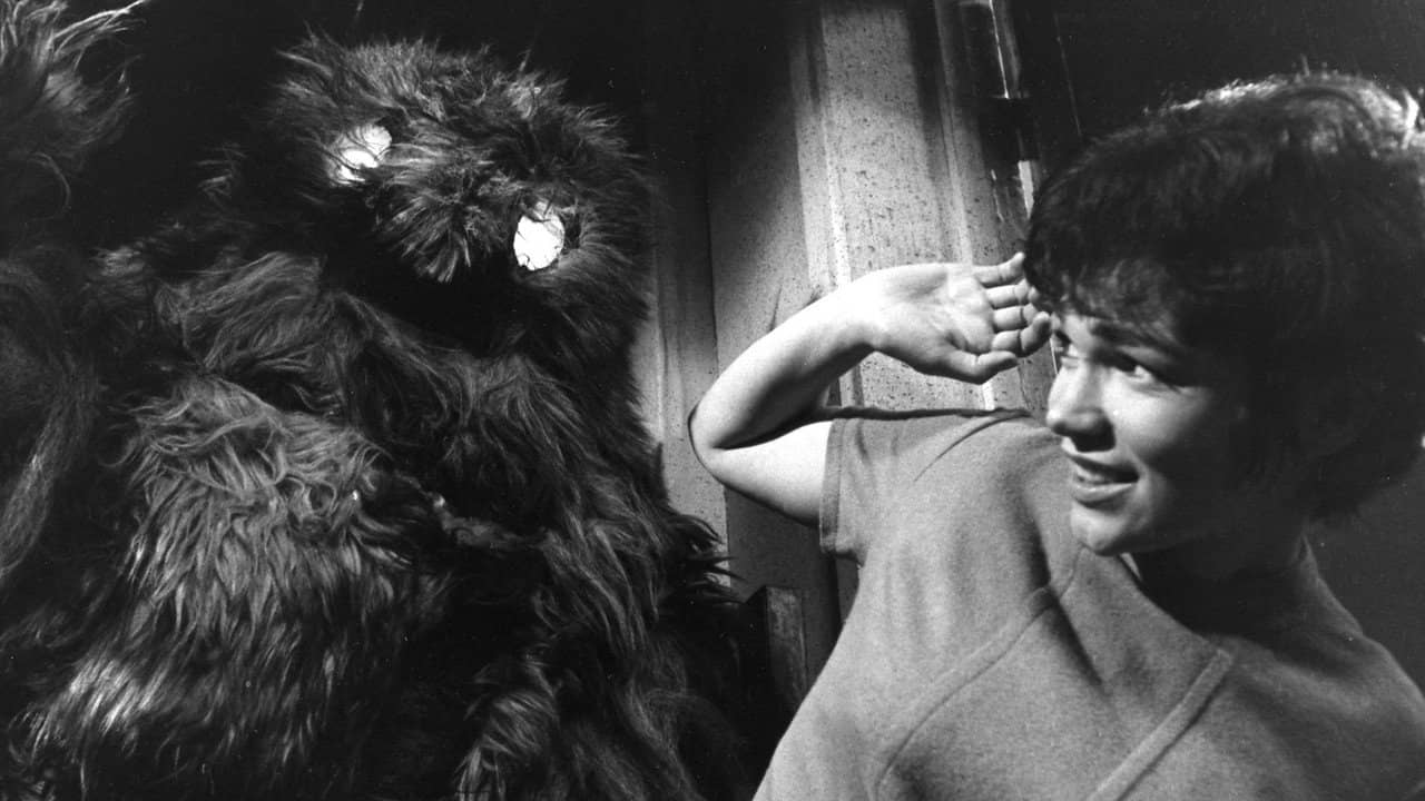 Doctor Who: The Web of Fear backdrop