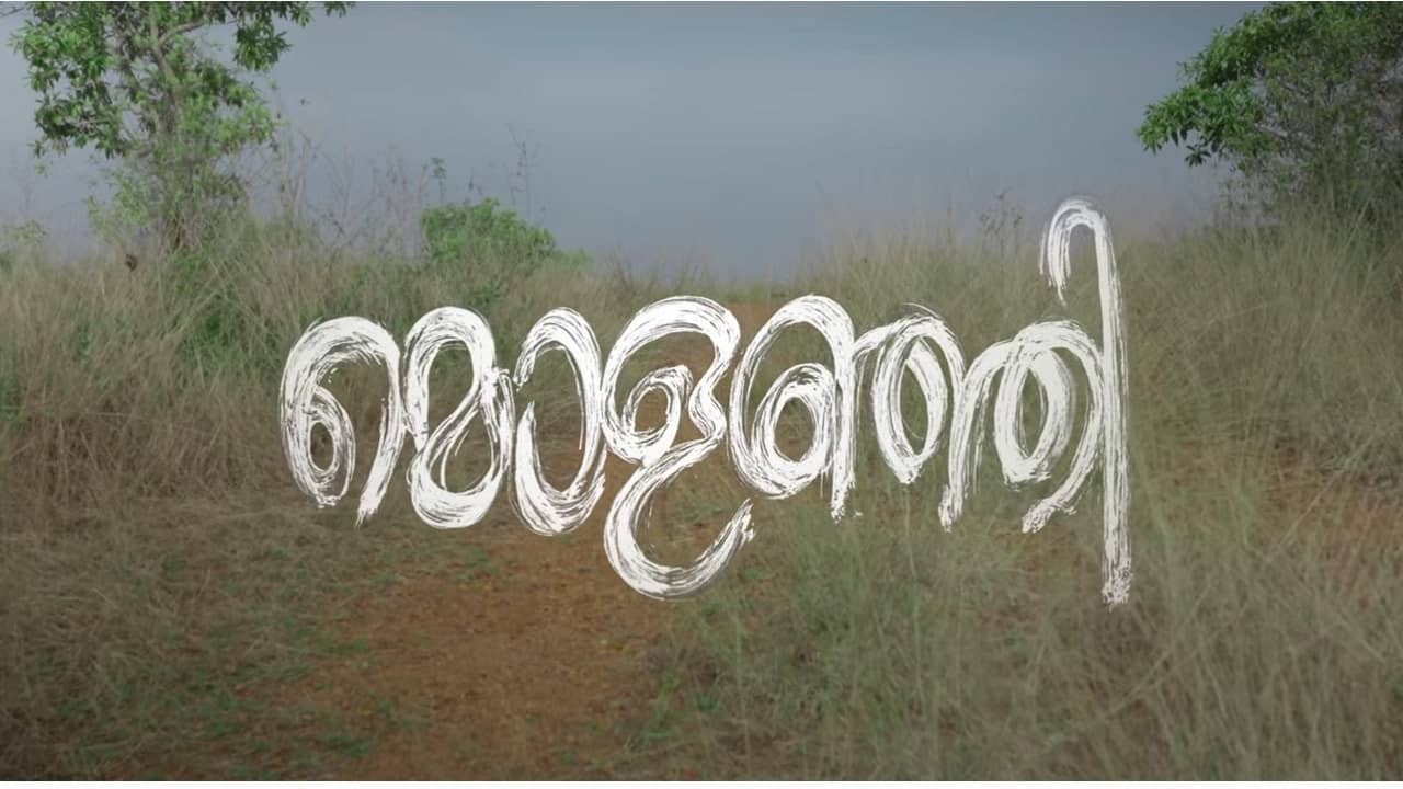 Molanji backdrop