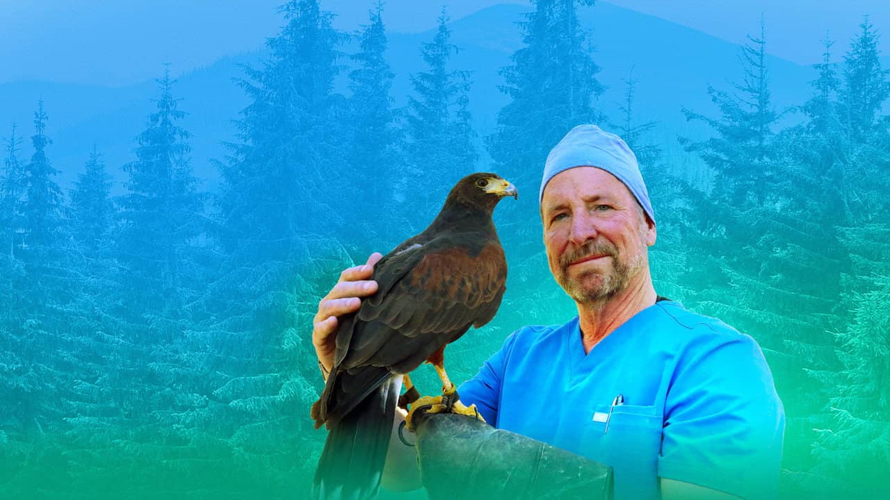 The Wild Life of Dr. Ole backdrop