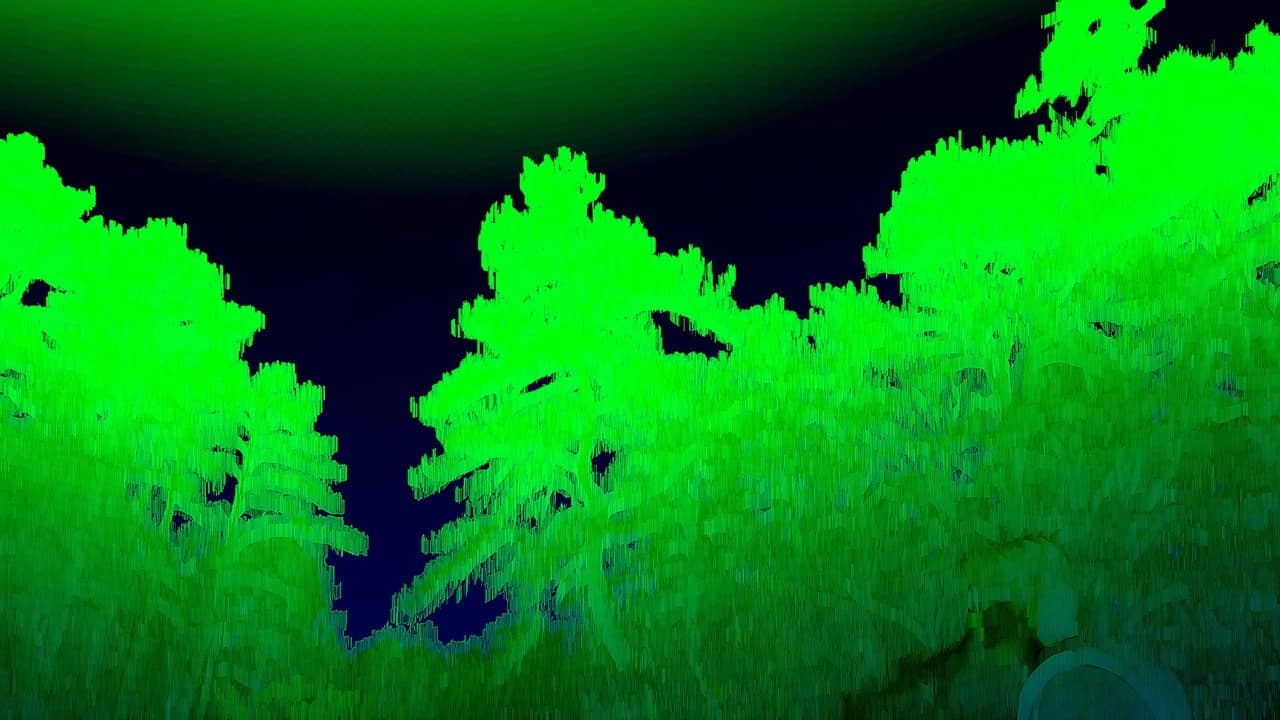 bird5.mp4 backdrop