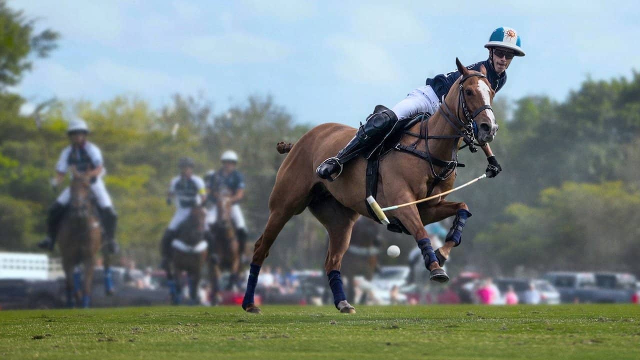 Polo backdrop