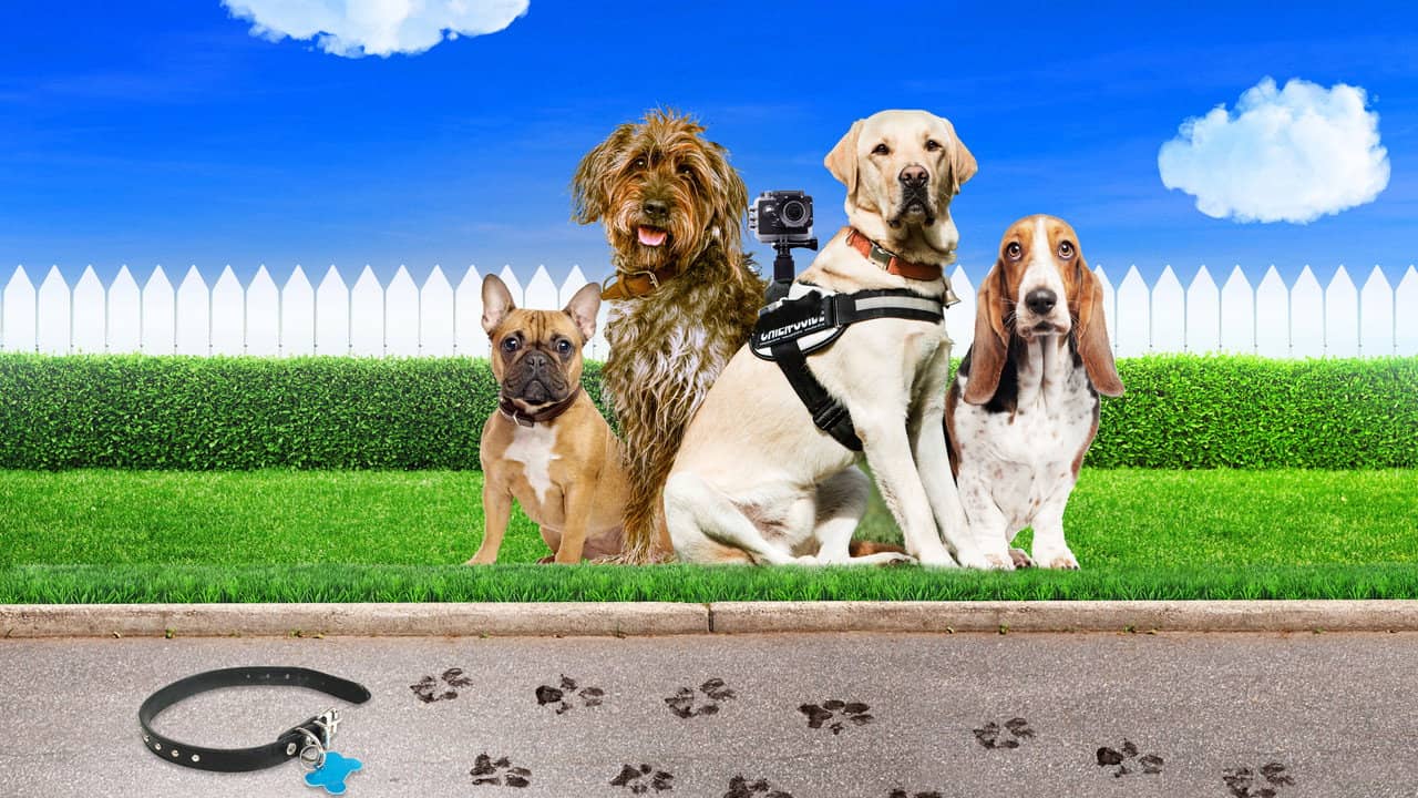 Trackers backdrop