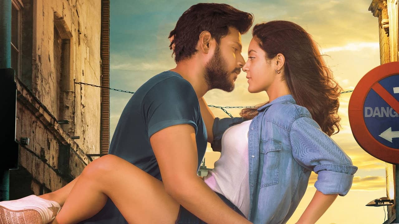 Ninu Veedani Needanu Nene backdrop
