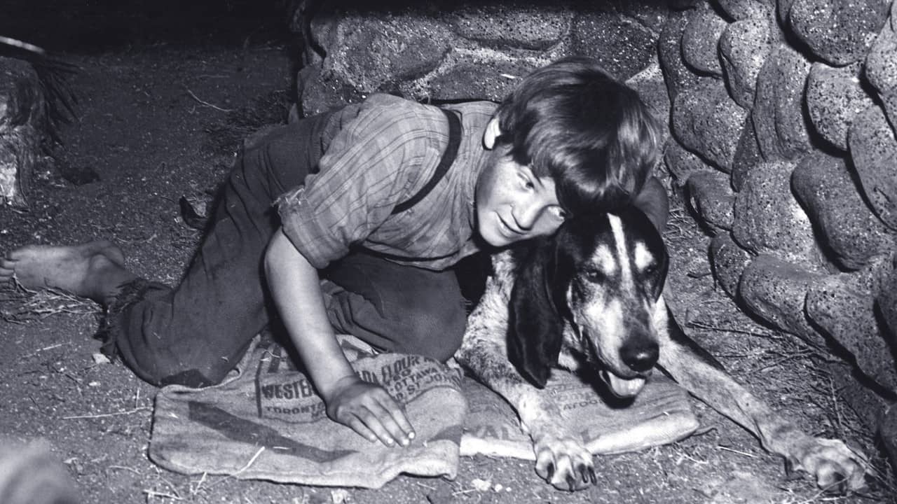 A Boy and His Dog backdrop