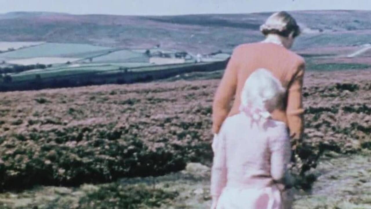 The Yorkshire Moors backdrop