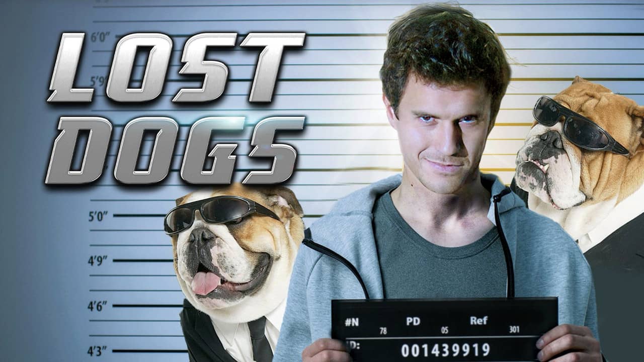 Lost Dogs backdrop