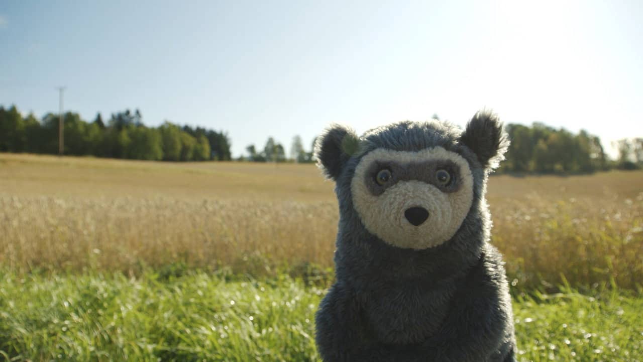 Bo Bear backdrop
