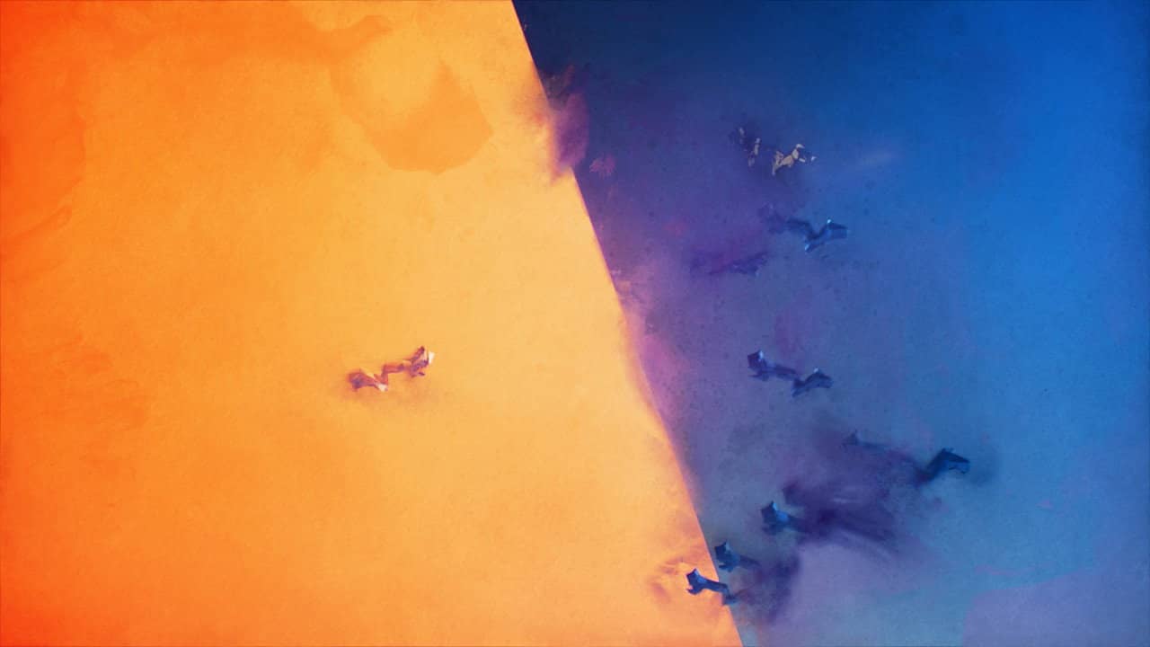 Extraction backdrop