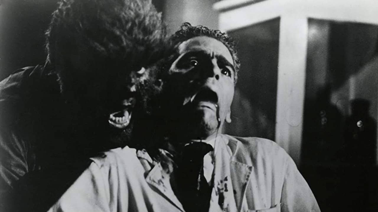 Face of the Screaming Werewolf backdrop