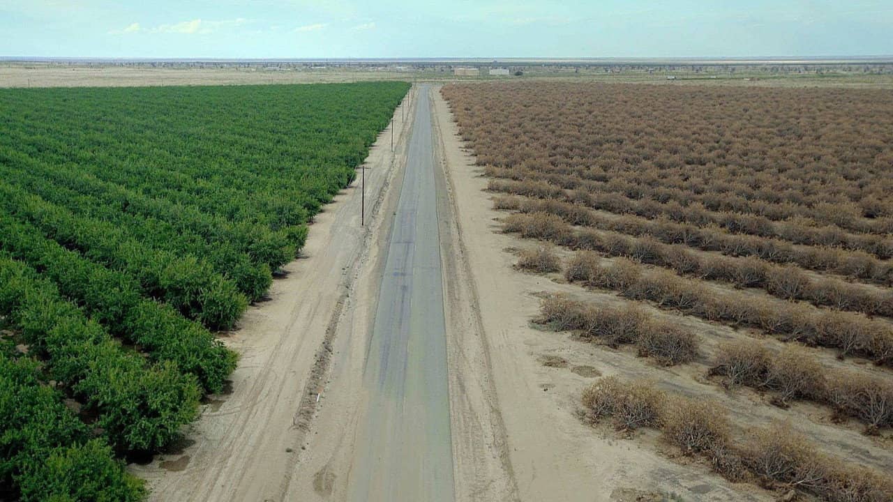 Water & Power: A California Heist backdrop