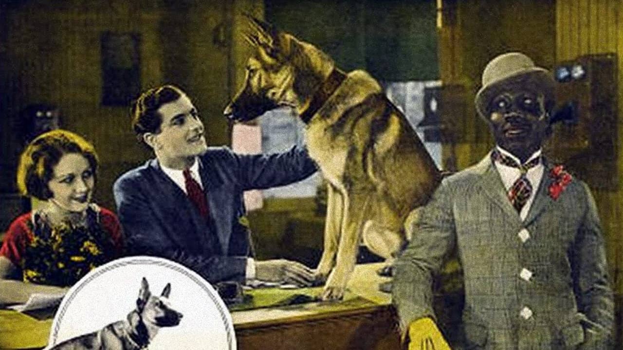 The Outlaw Dog backdrop
