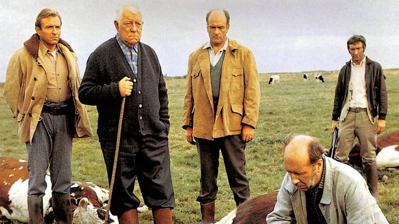 The Horse backdrop