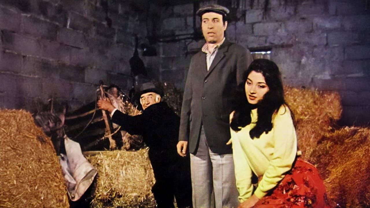 Tokatçı backdrop