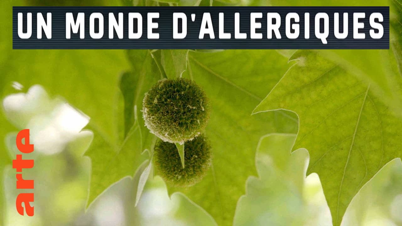 Un monde d'allergiques backdrop