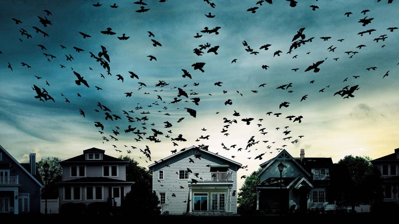 Dark Skies backdrop