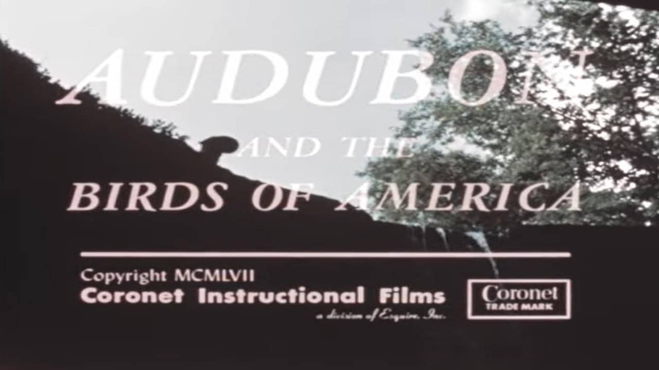 Audubon and the Birds of America backdrop