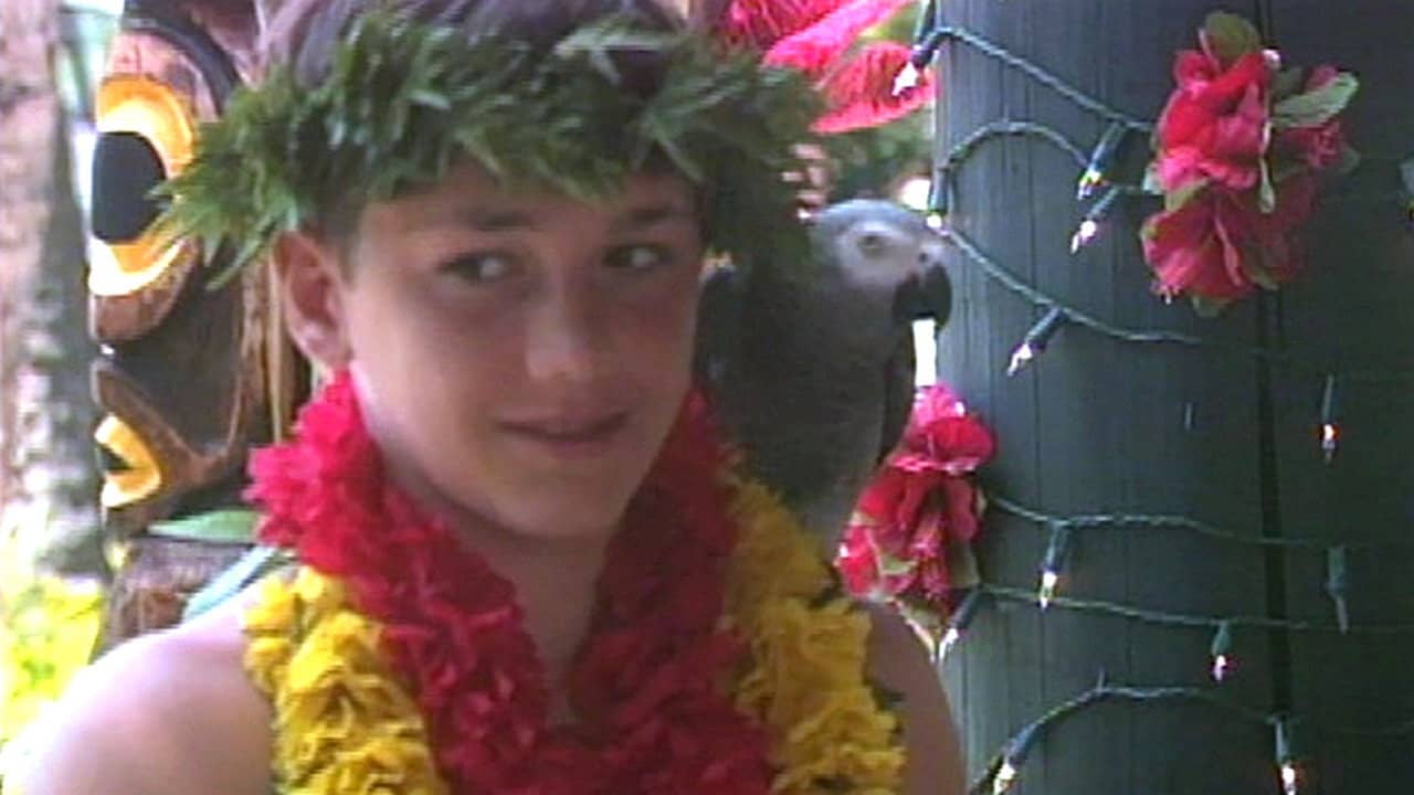 Iki Haole: Nico's Hawaiian Adventure backdrop