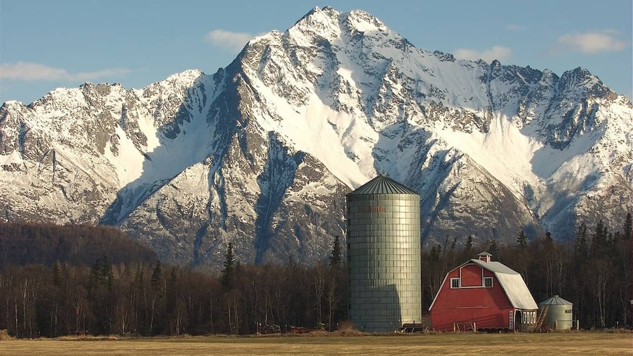 Alaska Far Away backdrop