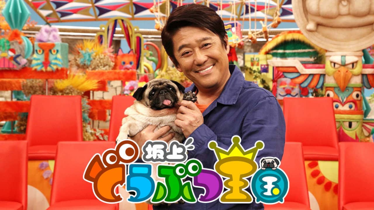 Sakagami Animal Kingdom backdrop