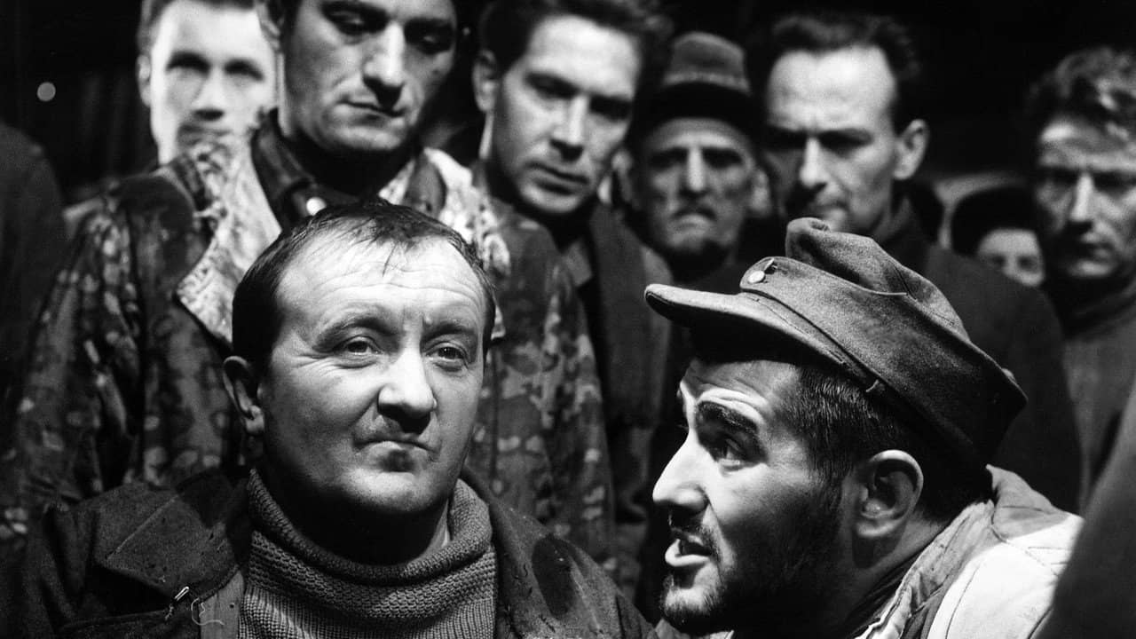 The Doctor of Stalingrad backdrop
