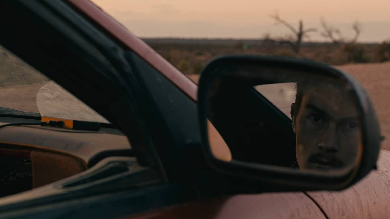 Roadkill backdrop