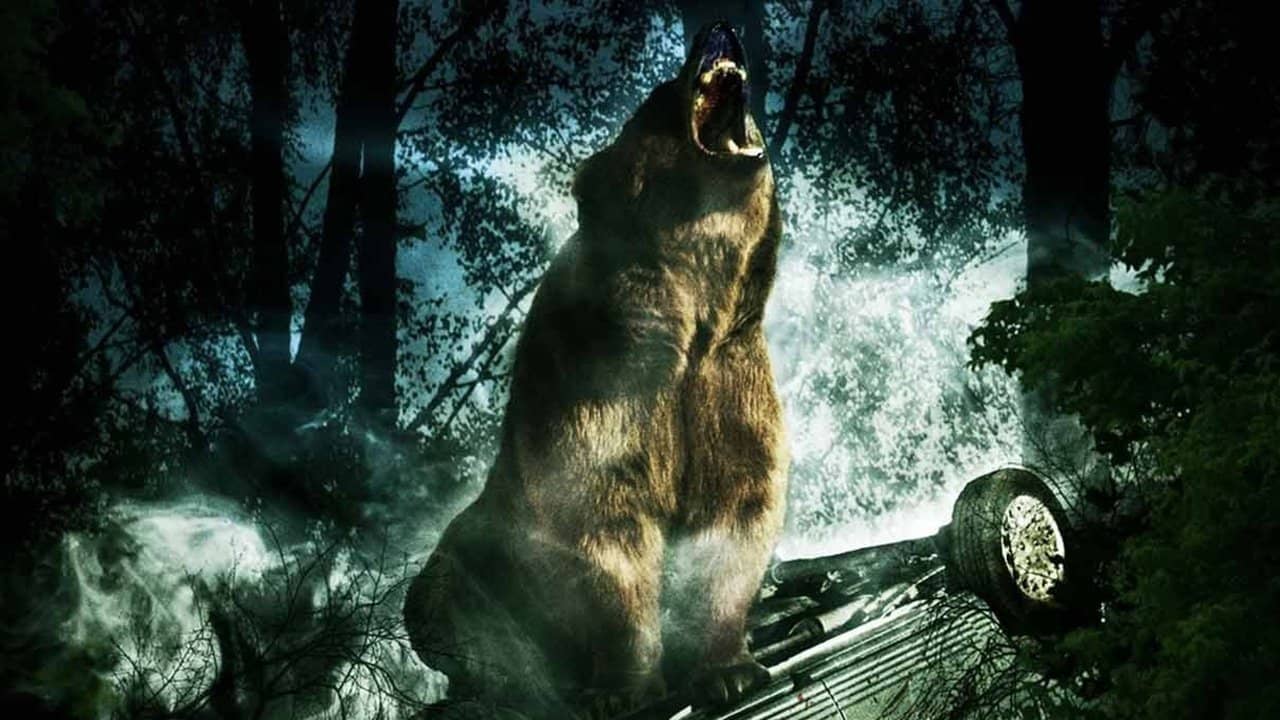Bear backdrop