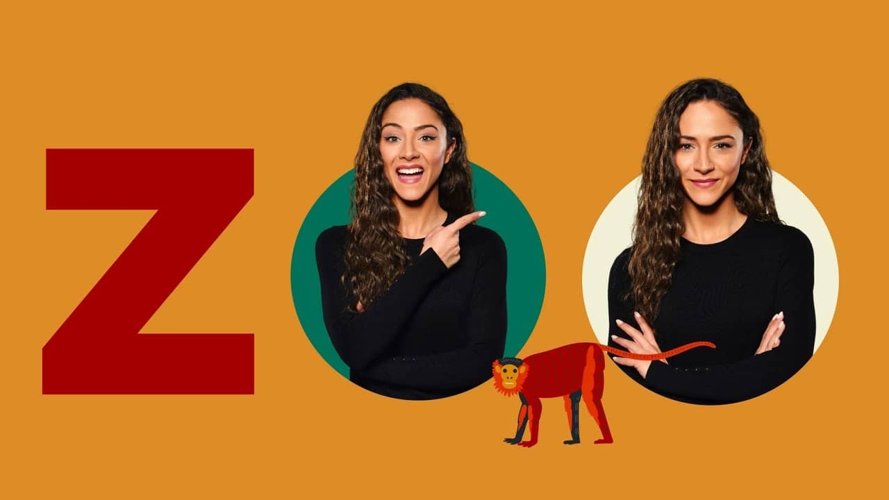 ZOO backdrop